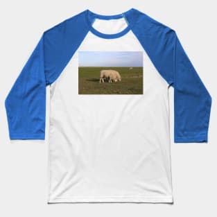Grasende Schafe auf Nordseeinsel Pellworm Baseball T-Shirt